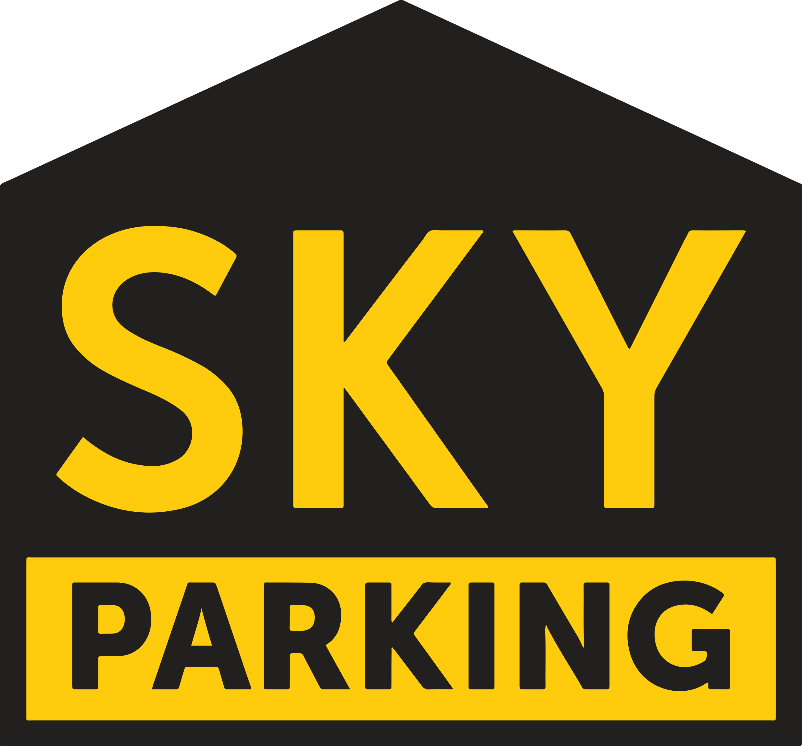 Sky Parking Logo