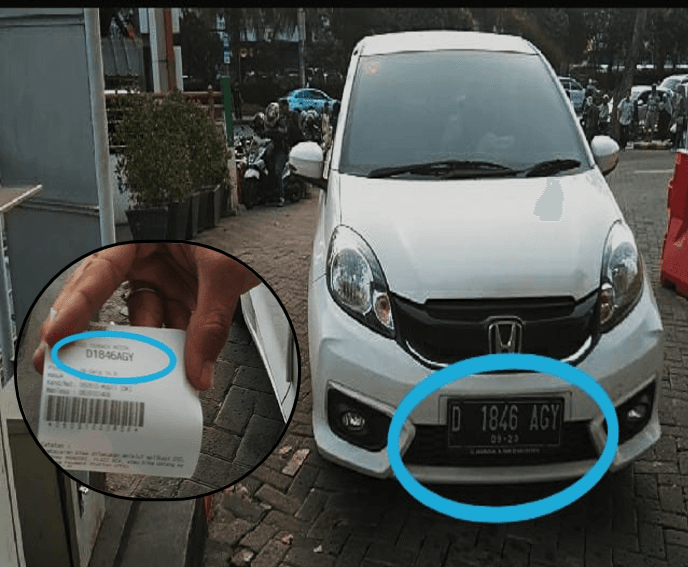 Evolution timeline image